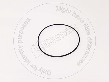 951720 ST КОЛЬЦО КРУГЛОГО СЕЧЕНИЯ