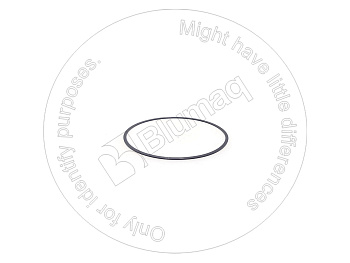 5337464 ST САЛЬНИК