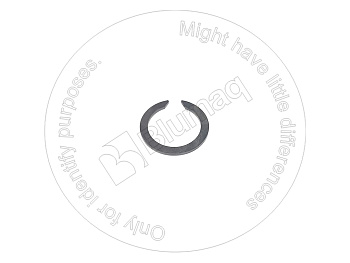 9S9979 ST КОЛЬЦО