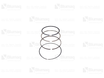 6271392300 ST PISTON RING ASS