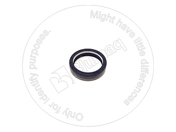 BG05586285 OE САЛЬНИК