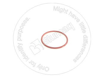 0700075095 ST КОЛЬЦО КРУГЛОГО СЕЧЕНИЯ