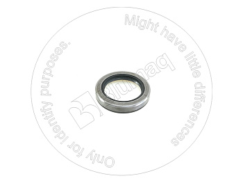 2J7539 OR САЛЬНИК