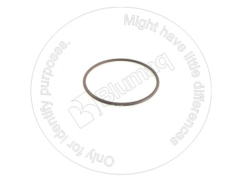 6V5095 OR КОЛЬЦО КРУГЛОГО СЕЧЕНИЯ