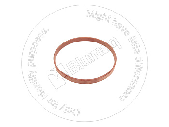 4161279 ST RING-WEAR