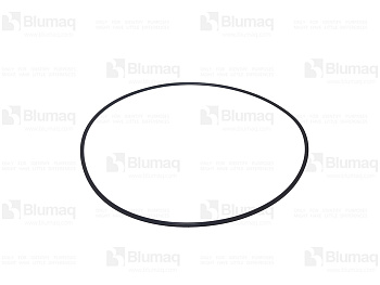 VOE17274503 BQ SEALING RING
