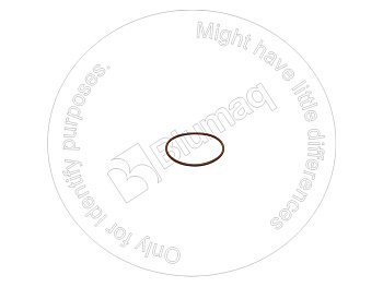 2722583 ST КОЛЬЦО КРУГЛОГО СЕЧЕНИЯ