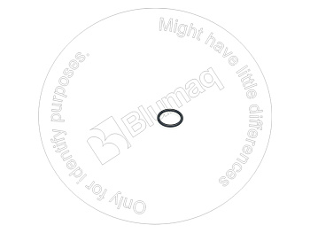 0777564 ST КОЛЬЦО КРУГЛОГО СЕЧЕНИЯ