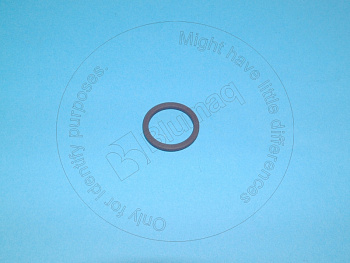 VOE469483 OE САЛЬНИК