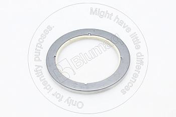 VOE941666 BQ САЛЬНИК