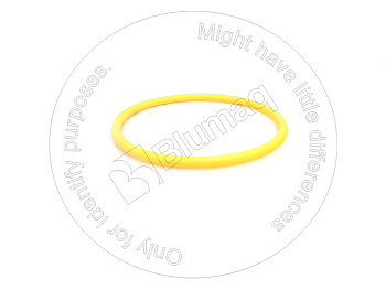 5P1606 ST КОЛЬЦО КРУГЛОГО СЕЧЕНИЯ