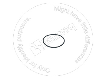 0965723 ST КОЛЬЦО КРУГЛОГО СЕЧЕНИЯ