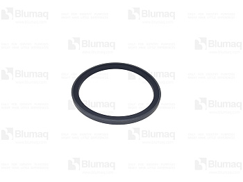 5J4997 ST САЛЬНИК