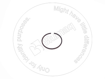 DG001.24.1514 OE САЛЬНИК