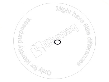 1172983 ST КОЛЬЦО КРУГЛОГО СЕЧЕНИЯ