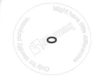 5M6666 ST ШАЙБА