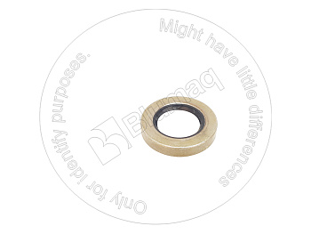 2H3910 ST САЛЬНИК