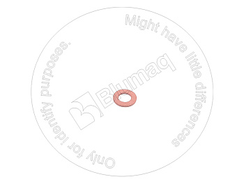 4B2479 ST ШАЙБА