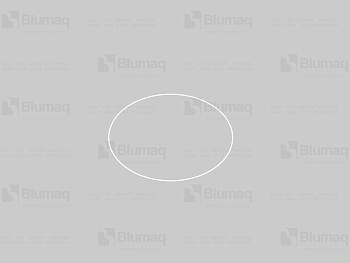 7T5987 BQ RING
