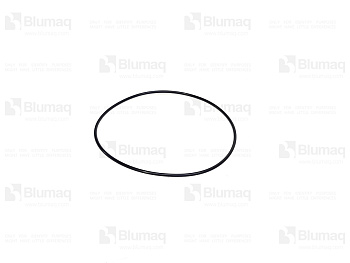 0951681 ST КОЛЬЦО КРУГЛОГО СЕЧЕНИЯ