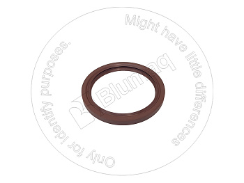 2239743 ST САЛЬНИК