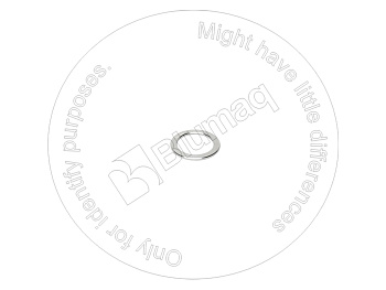 R916936823 BQ ШАЙБА