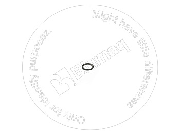 2017743 ST САЛЬНИК