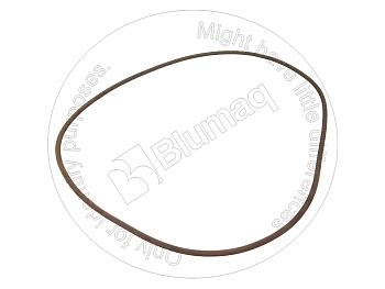 0775815 ST КОЛЬЦО КРУГЛОГО СЕЧЕНИЯ