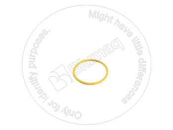 6F0249 ST КОЛЬЦО КРУГЛОГО СЕЧЕНИЯ