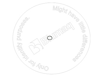 0773666 ST КОЛЬЦО КРУГЛОГО СЕЧЕНИЯ