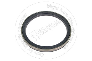 5W6387 ST САЛЬНИК