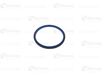 6097006 OR SEAL