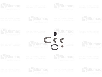 4610670 OR KIT PISTON