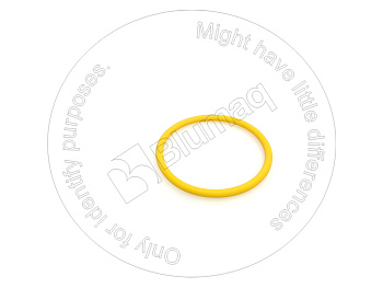 5H7704 ST КОЛЬЦО КРУГЛОГО СЕЧЕНИЯ