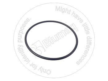 0700003090 ST КОЛЬЦО КРУГЛОГО СЕЧЕНИЯ