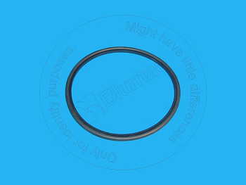 3Q7787 OR САЛЬНИК