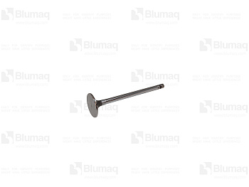 6754414110 ST INTAKE VALVE