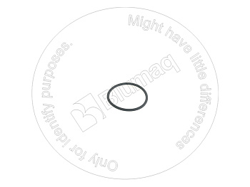 3E6725 ST КОЛЬЦО КРУГЛОГО СЕЧЕНИЯ