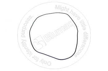 6001841570 ST КОЛЬЦО КРУГЛОГО СЕЧЕНИЯ