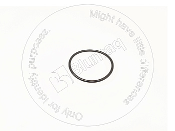 0777319 BQ УПЛОТНИТЕЛЬНОЕ КОЛЬЦО