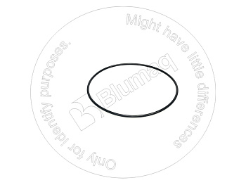 0951748 ST КОЛЬЦО КРУГЛОГО СЕЧЕНИЯ