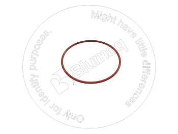 6684911250 OE КОЛЬЦО КРУГЛОГО СЕЧЕНИЯ