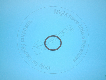 VOE468947 ST САЛЬНИК