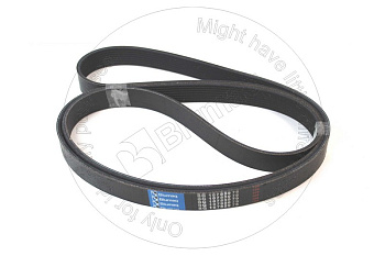 2412896 BQ РЕМЕНЬ