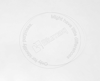 1131512840 ST СЕГМЕНТ