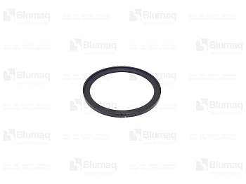 VOE11107808 OR SEAL PISTON