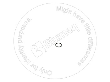 VOE20536487 ST КОЛЬЦО КРУГЛОГО СЕЧЕНИЯ