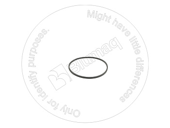 38510242101 OR УПЛОТНИТЕЛЬНОЕ КОЛЬЦО