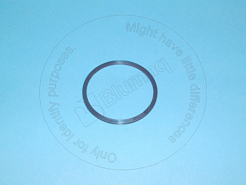 6S7821 OE КОЛЬЦО