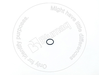 0967572 OE КОЛЬЦО КРУГЛОГО СЕЧЕНИЯ